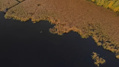 Aerial view. Camera flying above reed field and sea. Helsinki Finland Stock Footage 105676679