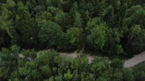 An aerial view, camera movement over the forest. Stock Footage 290078870