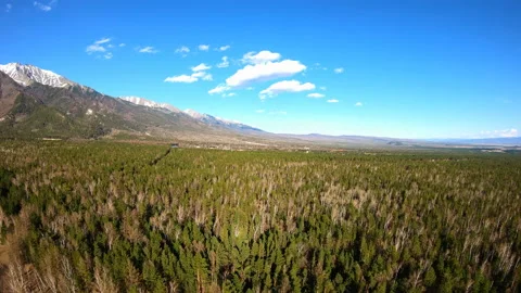 Aerial View. Camera moves forward over the forest. Mountain landscape. Siberia Stock Footage 90382320