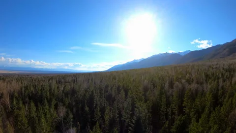 Aerial View. Camera moves rising up from forest. Mountain landscape. Siberia Stock Footage 90379828