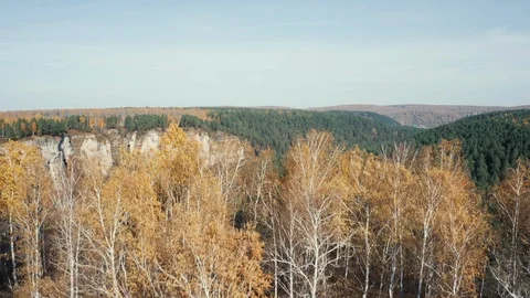 Aerial view; camera moving from behind autumn forest to river Stock Footage 118000063