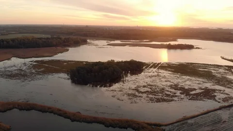 Aerial view. Camera moving sideways above reed field. Helsinki Finland Stock Footage 105676172