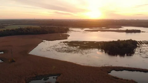 Aerial view. Camera moving sideways above reed field. Helsinki Finland Stock Footage 105676178