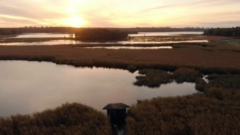 Aerial view. Camera rising up above reed field and sea. Helsinki Finland Stock Footage 105676466