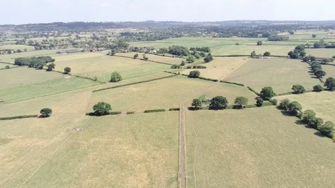 Aerial view, camera tilt down and follow walking people. Grassland, field, co Stock Footage 93014683