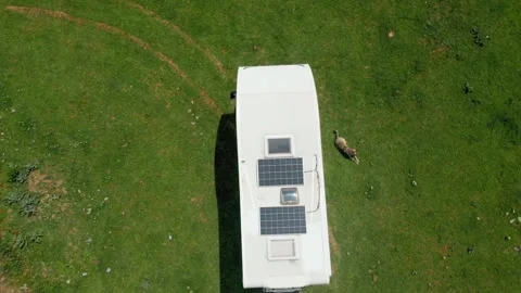 Aerial view of a campervan with solar panels and a sheep grazing Stock-Footage 343310318