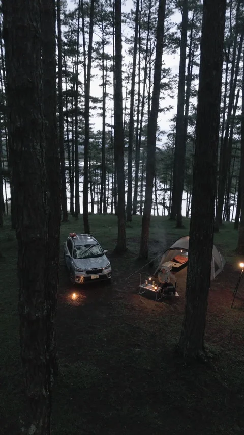 Aerial view, camping alone in the pine forest with SUV car 스톡 동영상 289311299