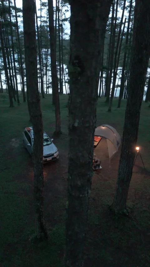 Aerial view, camping alone in the pine forest with SUV car Video stock 289311994