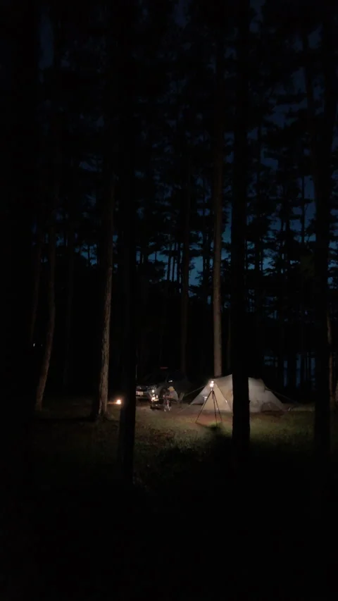 Aerial view, camping alone in the pine forest with SUV car 스톡 동영상 289322673