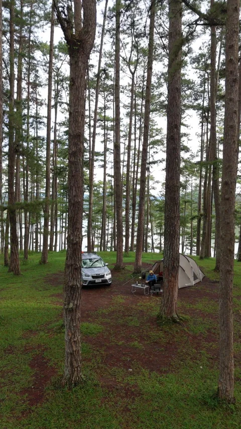Aerial view, camping alone in the pine forest with SUV car Video stock 289330937
