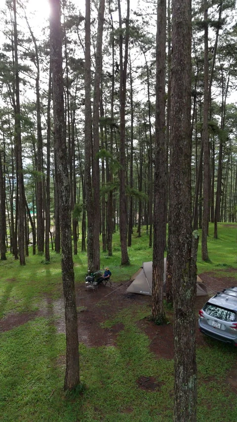 Aerial view, camping alone in the pine forest with SUV car Video stock 289332231