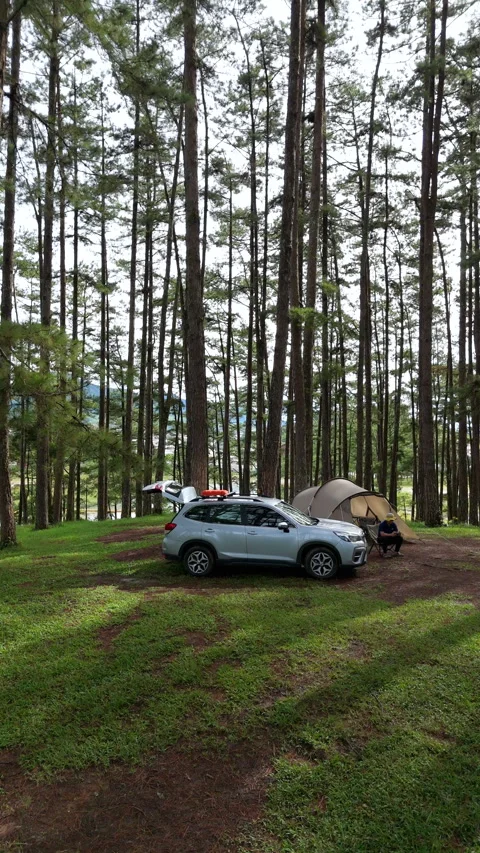 Aerial view, camping alone in the pine forest with SUV car Video stock 289333666