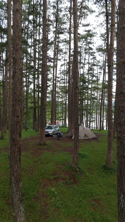 Aerial view, camping alone in the pine forest with SUV car Vídeo Stock 289343713