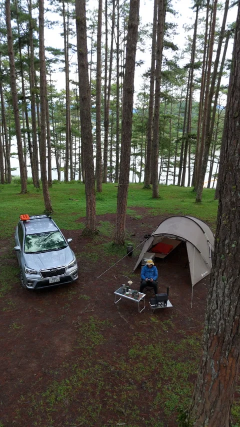 Aerial view, camping alone in the pine forest with SUV car Video stock 289344341