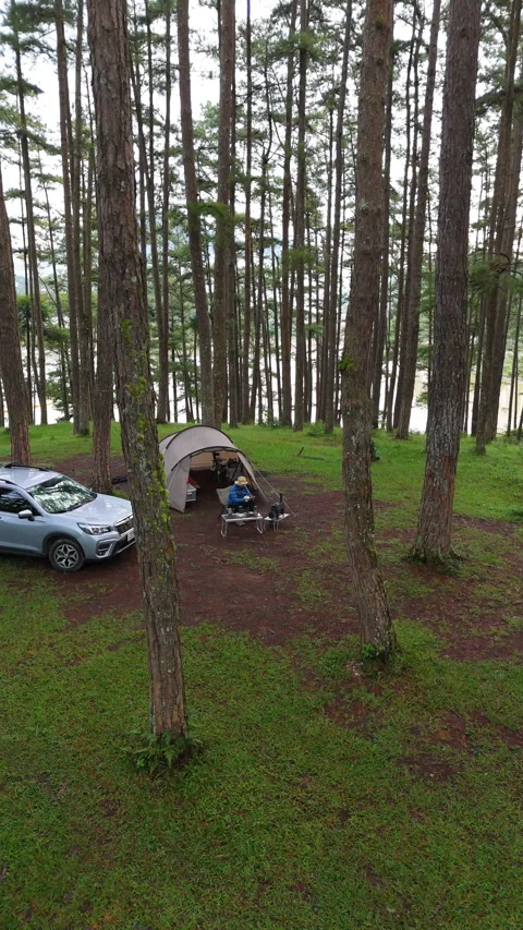 Aerial view, camping alone in the pine forest with SUV car Video stock 289344404