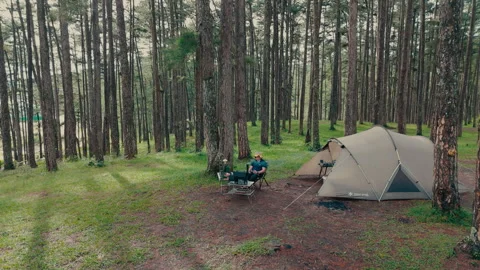 Aerial view, camping alone in the pine forest with SUV car Video stock 289395315
