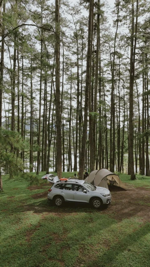 Aerial view, camping alone in the pine forest with SUV car Video stock 289395345