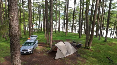 Aerial view, camping alone in the pine forest with SUV car Video stock 289395363