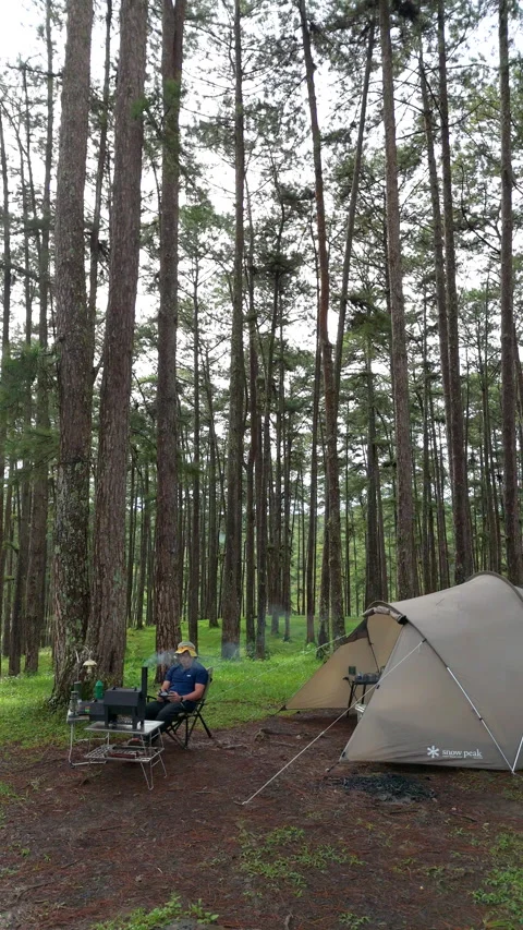Aerial view, camping alone in the pine forest with SUV car Stock-Footage 289395391