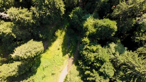 Aerial view of camping in the pine forest. Aerial high above looking down Stock Footage 104943317