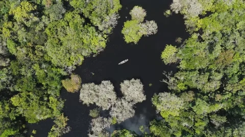 Aerial View of Canoe on Calm Amazon Waters Near Igapós Stock Footage 322114795