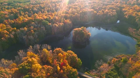 Aerial view of canopy of trees and lake in autumn time with sun rays, in a .. Stock Footage 317804008