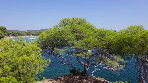 Aerial view of Cap Leoube Stock Footage 72951803