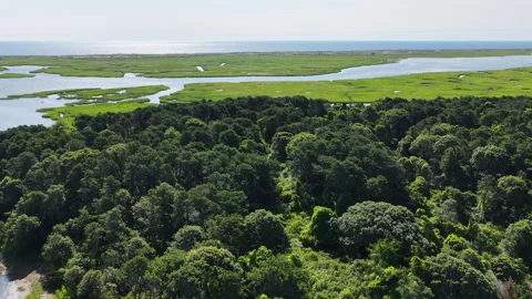 Aerial View of a Cape Cod Salt Marsh Video stock 341425591