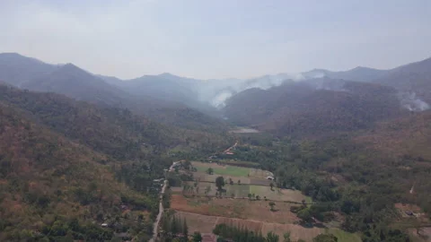 The aerial view captured by drone of the rainforest up on the hill in the mornin 스톡 동영상 231863697