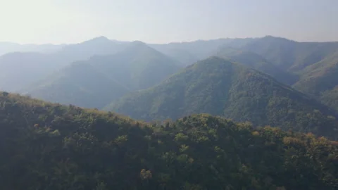 The aerial view captured by drone of the rainforest up on the hill in the mornin 스톡 동영상 231863761