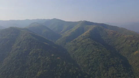 The aerial view captured by drone of the rainforest up on the hill in the mornin 스톡 동영상 231863779