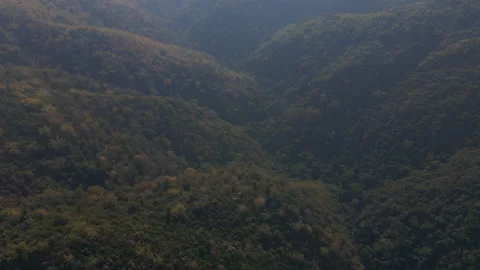 The aerial view captured by drone of the rainforest up on the hill in the mornin 스톡 동영상 231863874