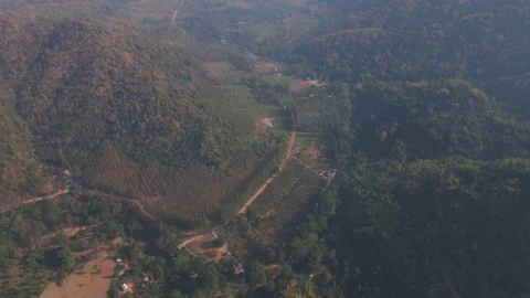 The aerial view captured by drone of the rainforest up on the hill in the mornin 스톡 동영상 231864074