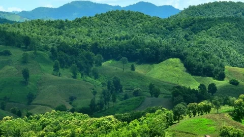 Aerial view captures bare mountain hills covered with grass and crops. Stock Footage 347275222