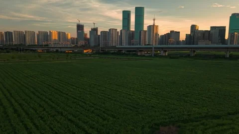 Aerial view captures elevated railways against Hangzhou modern skyline with lush Stock-Footage 345243204