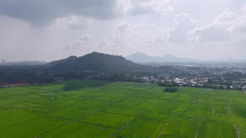 Aerial view captures lush paddy fields at Juru Видео 329347591