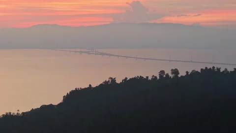 Aerial view captures mangrove trees glowing in warm sunset 動画素材 329354884