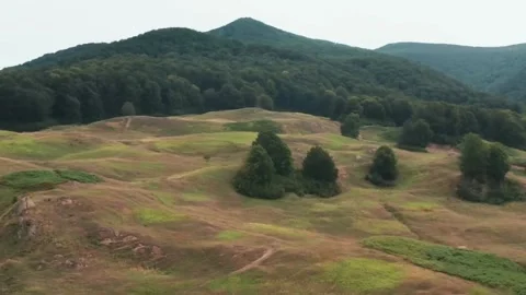 This aerial view captures rolling hills covered in a mix of dry, golden grass Stock Footage 322954572