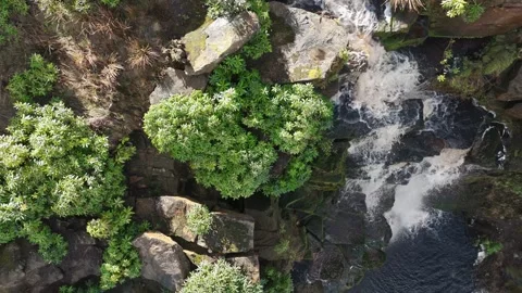 Aerial view captures rushing stream over mossy rocks Stockbeeldmateriaal 342942365