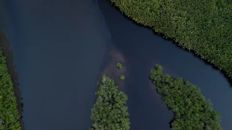 Aerial view captures serene river splitting lush islands. Stock Footage 336864177