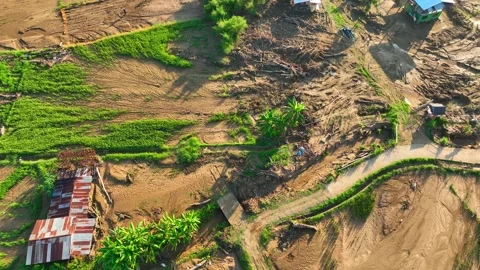 Aerial view captures severe flash flood damage across rice fields. 스톡 동영상 347273664