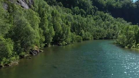 This aerial view captures a tranquil lake nestled amidst lush, green trees Stock Footage 321998324