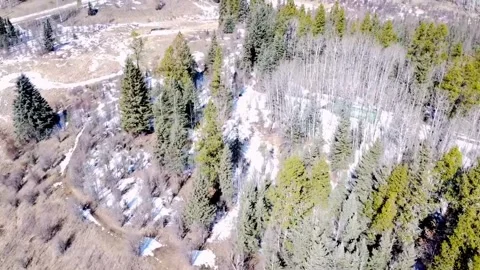This aerial view captures the transition from winter to spring in a forest,.. Stock Footage 270689043