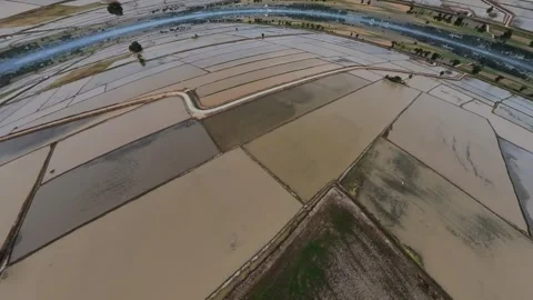 Aerial view captures vast rice paddies reflecting sky 動画素材 345397619