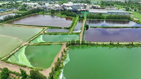 Aerial view captures wastewater from a large industrial factory. Stockbeeldmateriaal 344973227