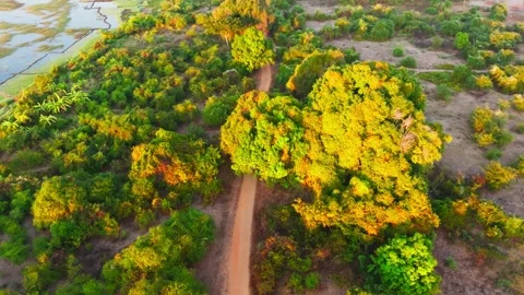 Aerial view captures a white pickup truck navigating a dirt road through a 스톡 동영상 308399584