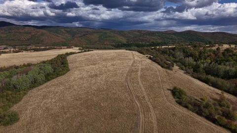 An aerial view captures a winding dirt road cutting through a dry, golden Stock Footage 346888120