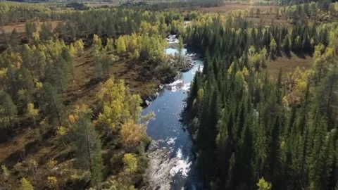 An aerial view captures a winding river flowing through a lush forest Stock Footage 322954532