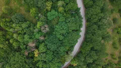 An aerial view captures a winding road seamlessly cutting through a vibrant Stock Footage 340851203