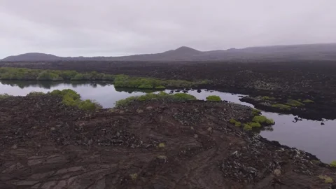 Aerial view capturing Galapagos volcanic terrain, rocky lava fields surrounding Stock Footage 308403839